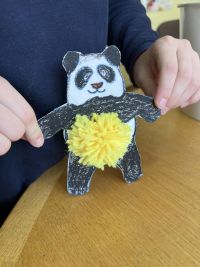 panda_06.jpg