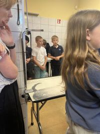5b_veterinarija_05.jpg