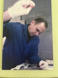 5b_veterinarija_08.jpg