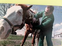 5b_veterinarija_10.jpg