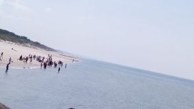 seaside_lunch.jpg