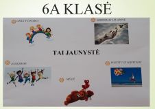 6a.JPG