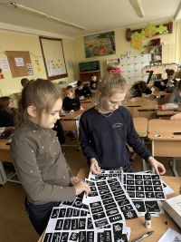gėlės_vazonėliuose_13.jpg
