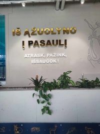 1a_ZOO_03.jpg