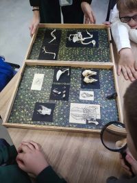 1a_ZOO_07.jpg