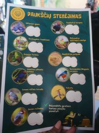 1a_ZOO_09.jpg