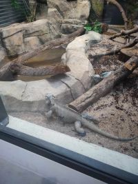 1a_ZOO_12.jpg