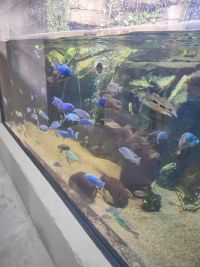 1a_ZOO_13.jpg