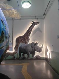 1a_ZOO_15.jpg
