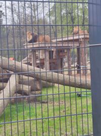 1a_ZOO_17.jpg