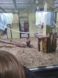 1a_ZOO_18.jpg