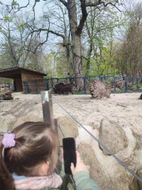 1a_ZOO_19.jpg