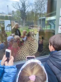 1a_ZOO_20.jpg
