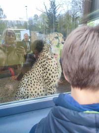 1a_ZOO_21.jpg