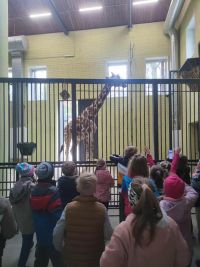 1a_ZOO_22.jpg
