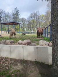 1a_ZOO_23.jpg