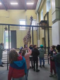 1a_ZOO_24.jpg