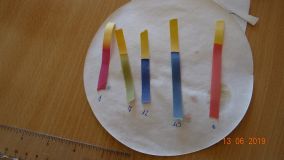 DSC01746.JPG