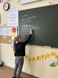2d_int_pamoka_08.jpg