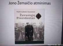 JZ_7.jpg