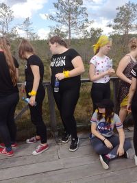 swamp2.jpg